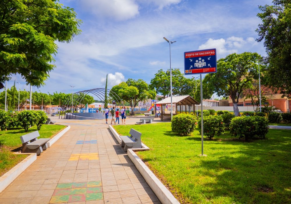 Mato Verde-238